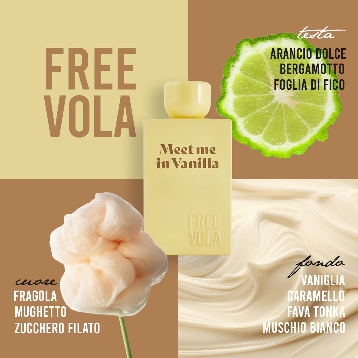 MEET ME IN VANILLA - FREEVOLA